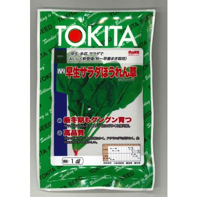 画像1: [ほうれんそう] 早生サラダほうれんそう 1dl トキタ種苗(株)