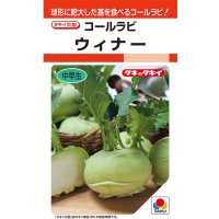 コールラビ　ウィナー　1.3ml 　タキイ種苗(株) RF