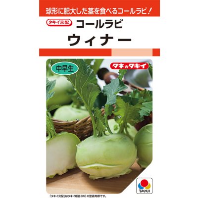 画像1: コールラビ　ウィナー　1.3ml 　タキイ種苗(株) RF