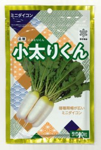 [大根] 小太りくん 5000粒（コートしていません） 雪印種苗(株)