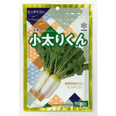 画像1: [大根] 小太りくん 5000粒（コートしていません） 雪印種苗(株)