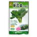 画像1: 新芯菜type2            5ml(およそ900粒) （株）大和農園 (1)