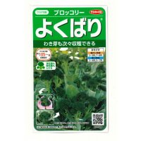 [ブロッコリー]よくばり(約50粒) (株)サカタのタネ 実咲450(203245)