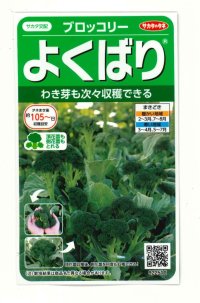 [ブロッコリー]よくばり(約50粒) (株)サカタのタネ 実咲450(203245)