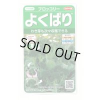 [ブロッコリー]よくばり(約50粒) (株)サカタのタネ 実咲450(203245)