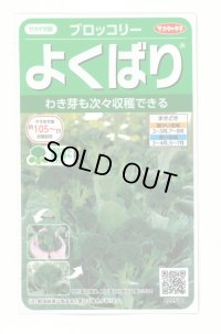 [ブロッコリー]よくばり(約50粒) (株)サカタのタネ 実咲450(203245)