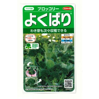 画像1: [ブロッコリー]よくばり(約50粒) (株)サカタのタネ 実咲450(203245)
