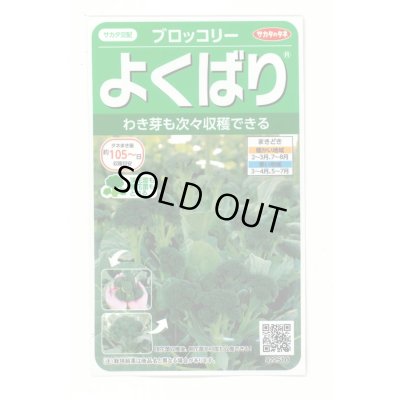 画像1: [ブロッコリー]よくばり(約50粒) (株)サカタのタネ 実咲450(203245)