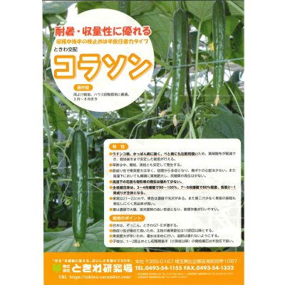 画像2: 送料無料　[キュウリ]　コラソン　350粒　(株)ときわ研究場