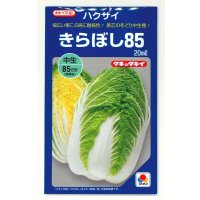 [白菜] きらぼし85 20ml タキイ種苗(株)