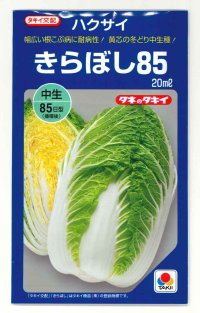 [白菜] きらぼし85 20ml タキイ種苗(株)