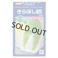 [白菜] きらぼし85 20ml タキイ種苗(株)