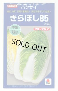 [白菜] きらぼし85 20ml タキイ種苗(株)