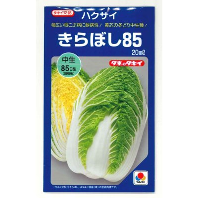 画像1: [白菜] きらぼし85 20ml タキイ種苗(株)