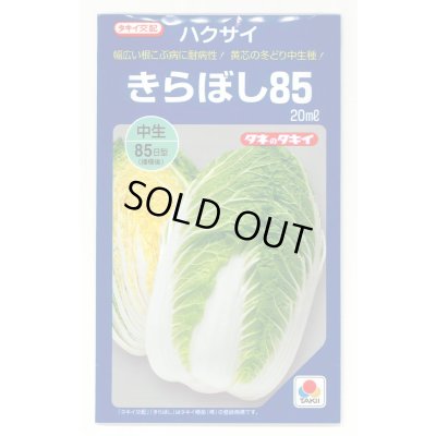 画像1: [白菜] きらぼし85 20ml タキイ種苗(株)