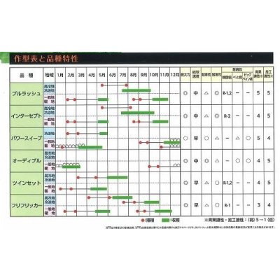 画像3: [レタス] パワースイープ  ペレット種子5000粒  (株)サカタのタネ 