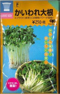 スプラウト種子 かいわれ大根 30mlスプラウト専用(無消毒種子) 中原採種場(株)