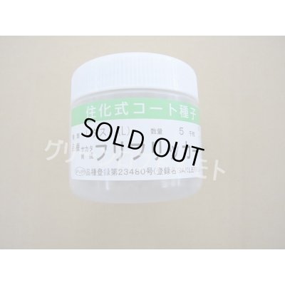 画像1: [レタス] フリフリッカー ペレット種子5000粒  (株)サカタのタネ