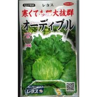 [レタス] オーディブル ペレット150粒 (株)サカタのタネ 実咲550 003172