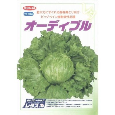 画像2: [レタス] オーディブル ペレット150粒 (株)サカタのタネ 実咲550 003172