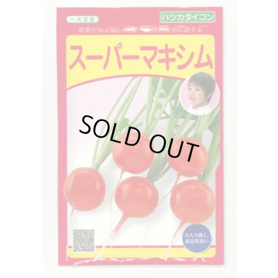 画像1: [大根] はつかだいこん スーパーマキシム　1000粒　（株）武蔵野種苗園