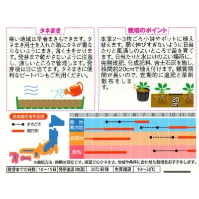 画像2: 花の種 パンジー シトラスカラーミックス 約35粒 (株)サカタのタネ 実咲350(027358)