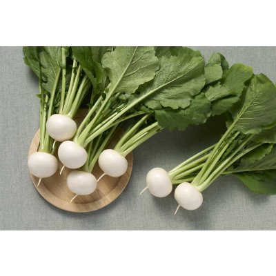 画像2: [かぶ] ふゆばな ペレット5千粒 タキイ種苗(株)