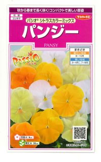 花の種 パンジー シトラスカラーミックス 約35粒 (株)サカタのタネ 実咲350(027358)