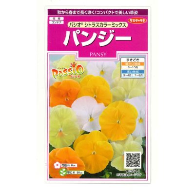 画像1: 花の種 パンジー シトラスカラーミックス 約35粒 (株)サカタのタネ 実咲350(027358)