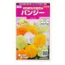 画像1: 花の種 パンジー シトラスカラーミックス 約35粒 (株)サカタのタネ 実咲350(027358) (1)