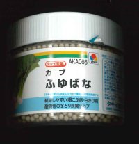 [かぶ] ふゆばな ペレット5千粒 タキイ種苗(株)