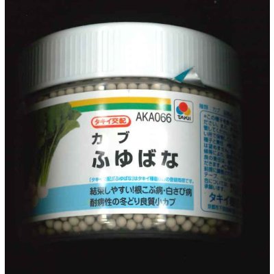 画像1: [かぶ] ふゆばな ペレット5千粒 タキイ種苗(株)