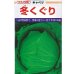 画像1: [キャベツ] 冬くぐり　小袋カネコ種苗（株） (1)