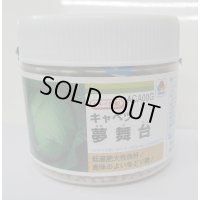 送料無料　キャベツ　夢舞台　ペレット種子5千粒　タキイ種苗(株)