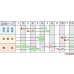 画像3: [そら豆] 多空の春 1L (株)サカタのタネ (3)