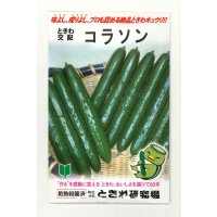 送料無料　[キュウリ]　コラソン　350粒　(株)ときわ研究場