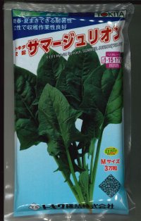 [ほうれんそう] サマージュリオン 3万粒（種子サイズ：Ｍ） トキタ種苗(株)