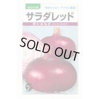 [たまねぎ] サラダレッド2.5ml(約340粒) (株)タカヤマシード