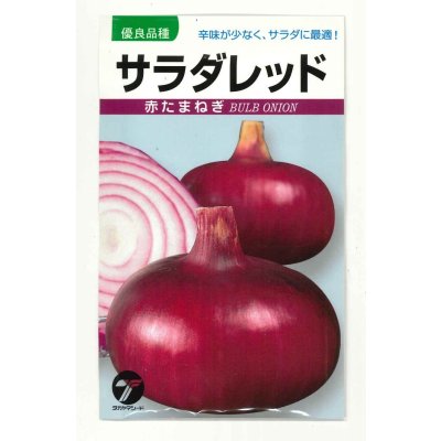 画像1: [たまねぎ] サラダレッド2.5ml(約340粒) (株)タカヤマシード