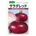 画像1: [たまねぎ] サラダレッド2.5ml(約340粒) (株)タカヤマシード (1)