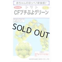 [トマト/ミニトマト] CFプチぷよグリーン100粒 (株)渡辺採種場