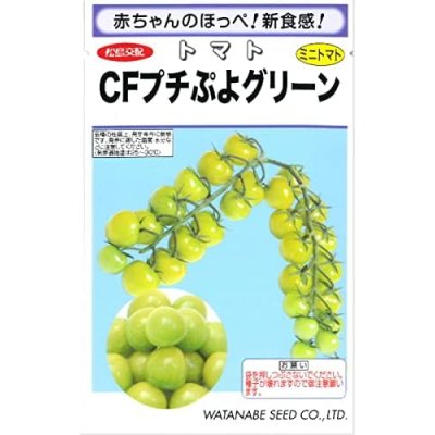 画像1: [トマト/ミニトマト] CFプチぷよグリーン100粒 (株)渡辺採種場