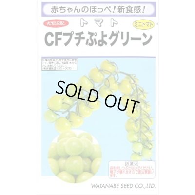 画像1: [トマト/ミニトマト] CFプチぷよグリーン小袋  7粒 (株)渡辺採種場
