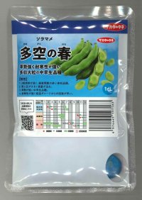 [そら豆] 多空の春 1dl (株)サカタのタネ