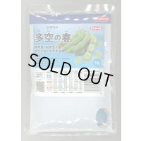 [そら豆] 多空の春 1dl (株)サカタのタネ