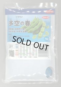 [そら豆] 多空の春 1dl (株)サカタのタネ