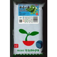 [そら豆] 多空の春 1L (株)サカタのタネ