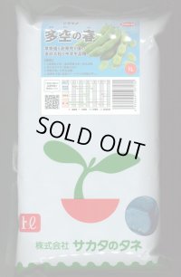 [そら豆] 多空の春 1L (株)サカタのタネ