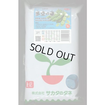 画像1: [そら豆] 多空の春 1L (株)サカタのタネ