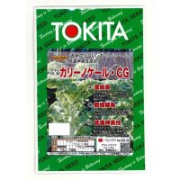 カリーノケールCG コート種子1000粒 トキタ種苗（株）